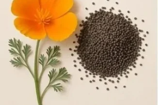 imgi_21_CaliforniaPoppySeed.webp